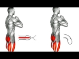 The BEST 8 Higher! Hidden Exercises You Should Do Every Day