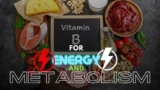 Vitamins B  for Energy and Metabolism |  Fitness Nutrition