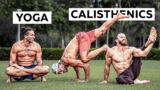 Yoga Master Tried to Break a Calisthenics Pro
